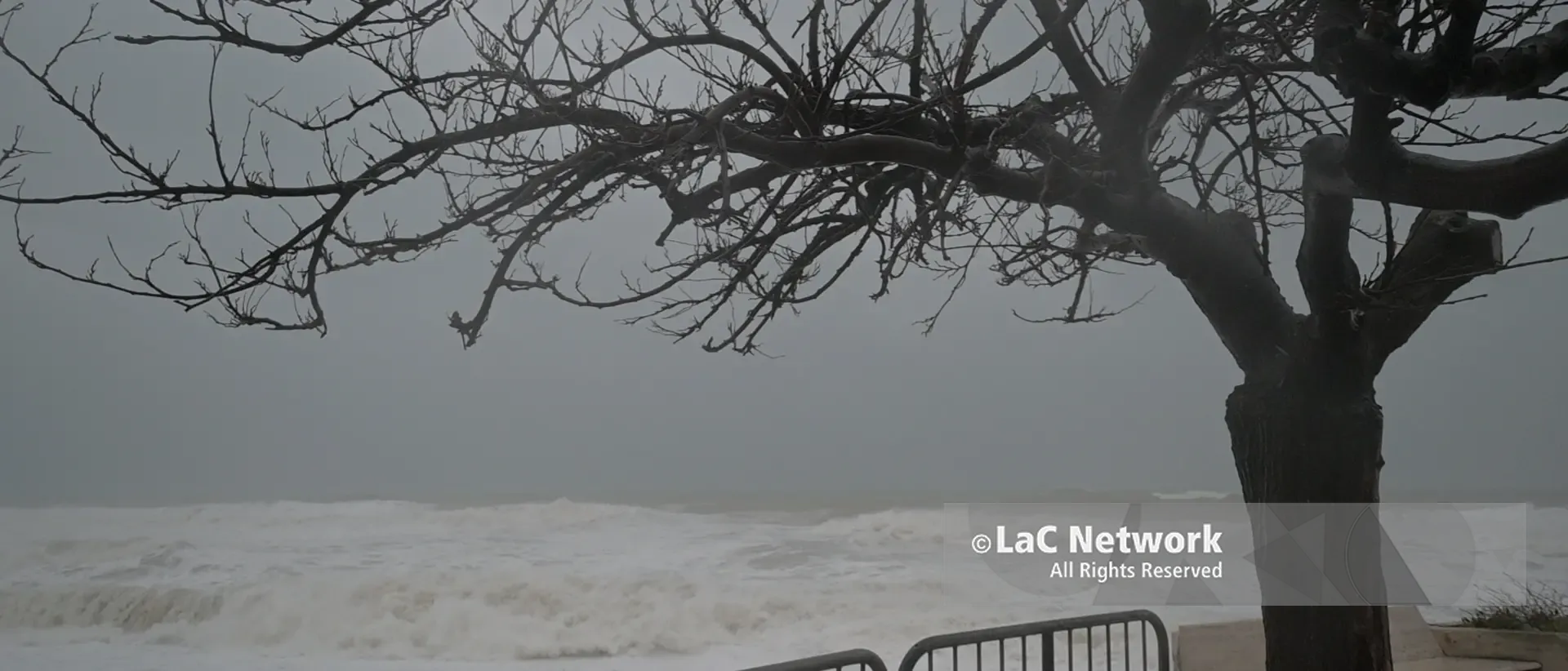 Il ciclone Harry sferza la Calabria, il Pd:\u00A0«Subito interventi e\u00A0risorse per i Comuni colpiti»\n