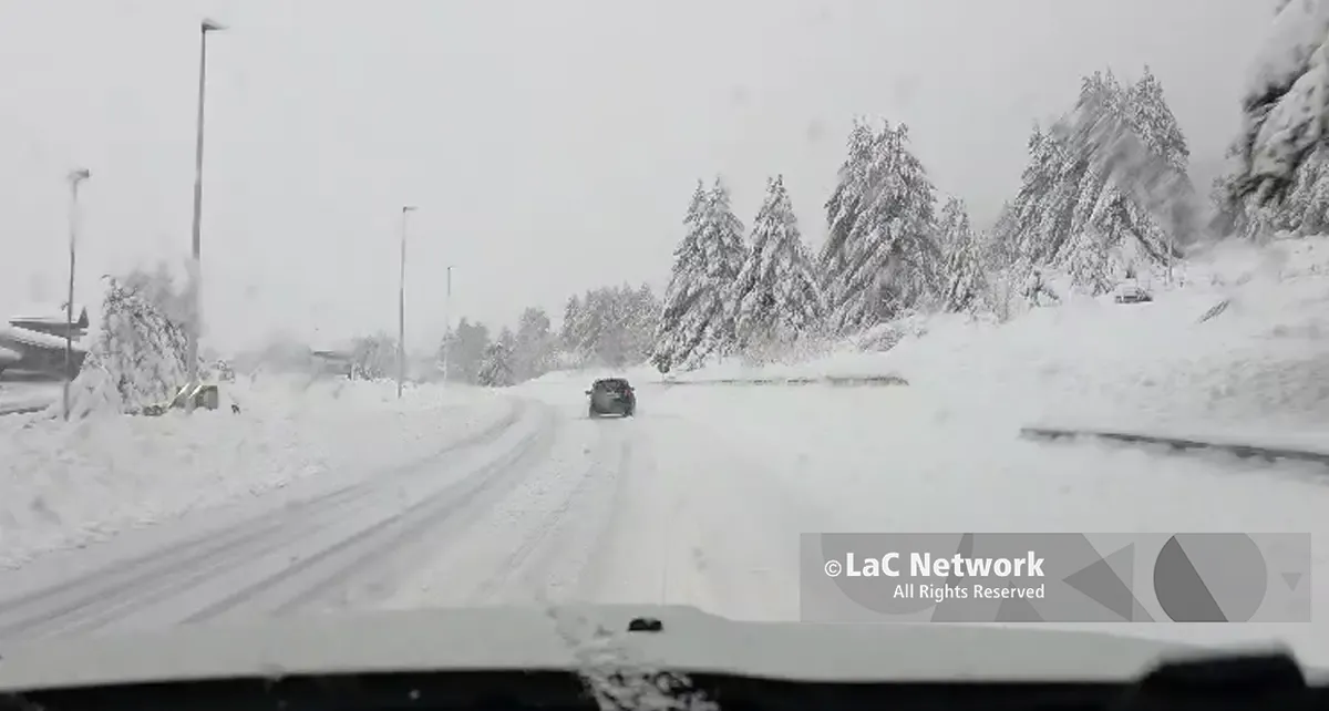 Bufera di neve sulla Sila: SS107 imbiancata e traffico a rischio | VIDEO