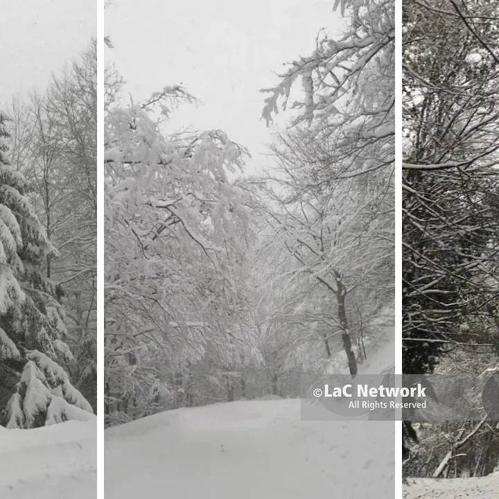 La neve torna a imbiancare le cime più alte delle Serre vibonesi: paesaggio fiabesco a Monte Pecoraro -\u00A0FOTO\n