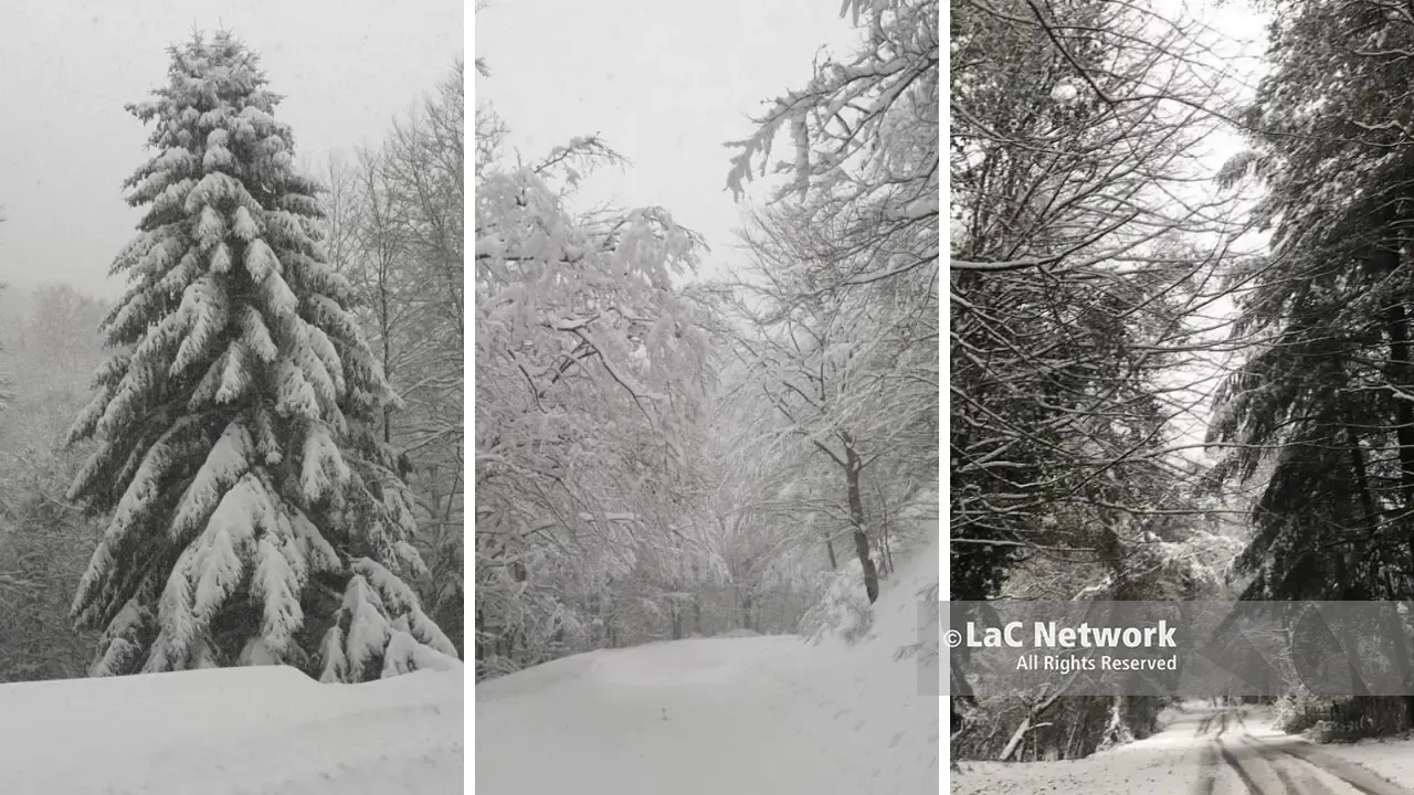 La neve torna a imbiancare le cime più alte delle Serre vibonesi: paesaggio fiabesco a Monte Pecoraro -\u00A0FOTO\n