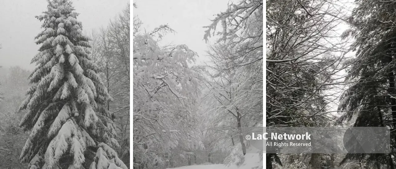 La neve torna a imbiancare le cime più alte delle Serre vibonesi: paesaggio fiabesco a Monte Pecoraro -\u00A0FOTO\n