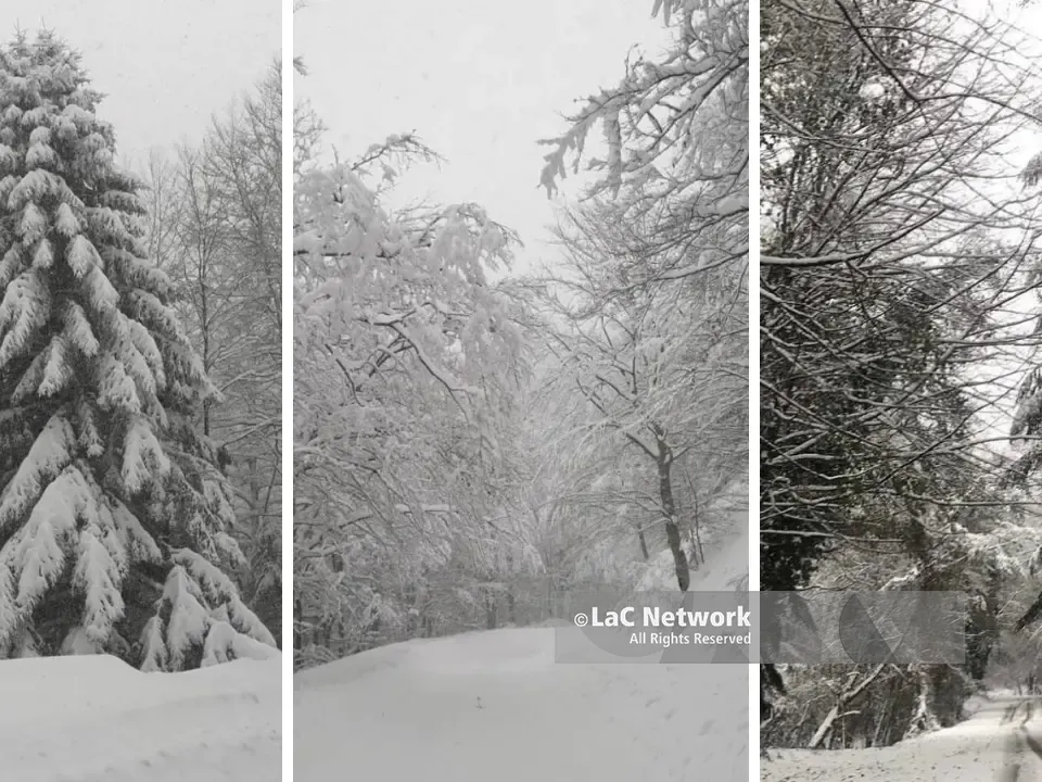 La neve torna a imbiancare le cime più alte delle Serre vibonesi: paesaggio fiabesco a Monte Pecoraro - FOTO