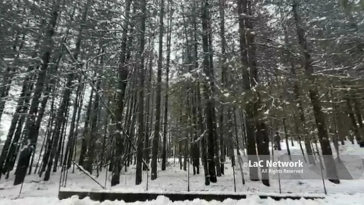 Neve copiosa in Sila