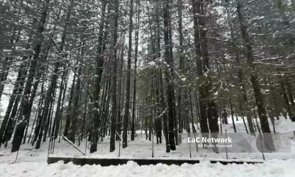 Ciclone Harry, che nevicata nel Parco Nazionale della Sila: mezzo metro a Lorica\n