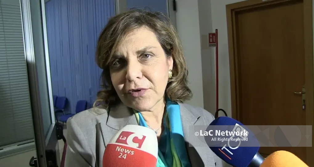 Intimidazioni nel Vibonese, il prefetto: «Attenzione alta, ma nessun allarme». E sulle scarcerazioni di Rinascita Scott: «”Ritorni” monitorati»\n