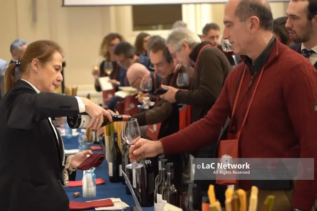 “Calabria: la storia nel calice”: i\u00A0vini regionali incontrano il commercio romano a Palazzo Ripetta\n