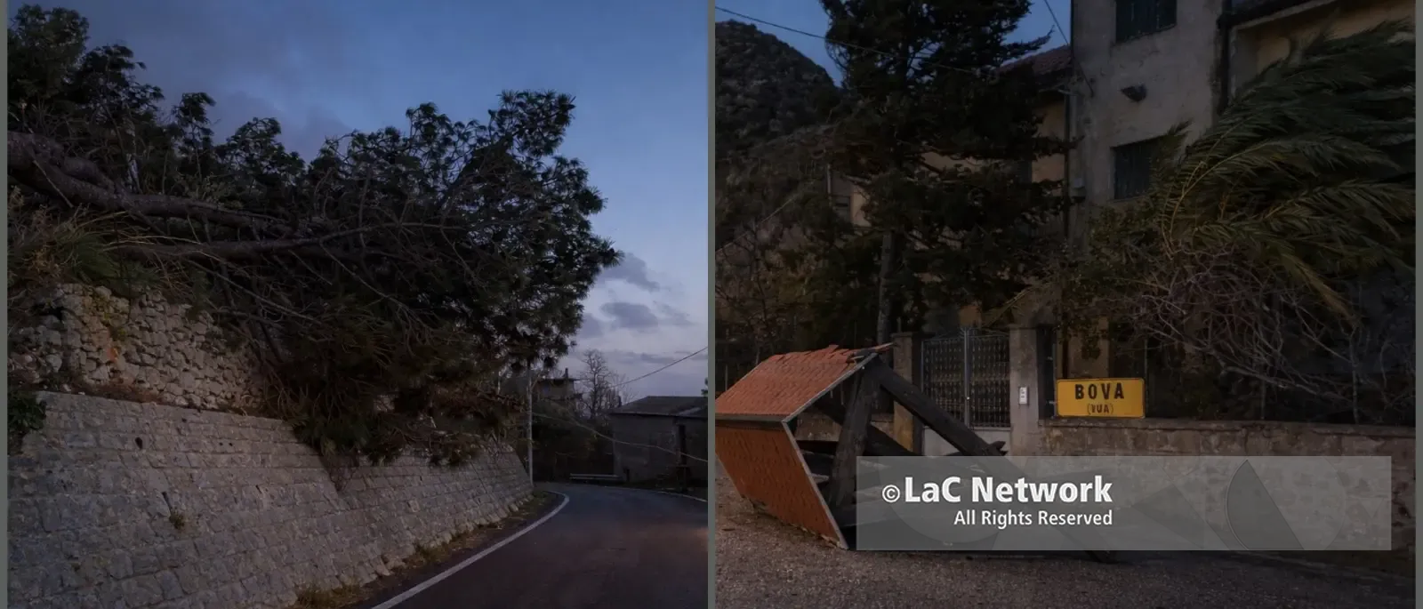 Bova, il vento fortissimo abbatte alberi e trancia cavi: viabilità interrotta e danni alle strutture agricole\n
