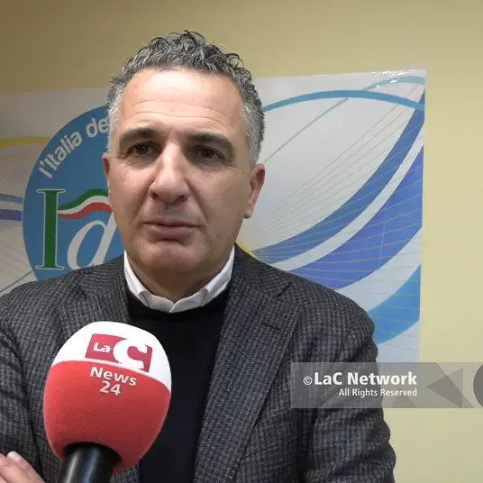 <p>Elezioni regionali e comunali per i calabresi nel mondo: Orlandino Greco propone il voto telematico</p>