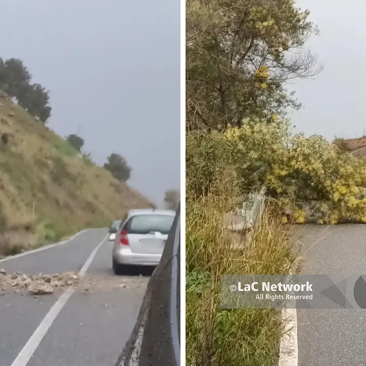 Smottamenti e un albero caduto tra Vibo e Stefanaconi: disposta la chiusura della provinciale 15\n
