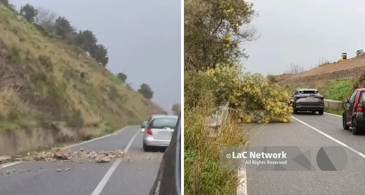 Maltempo, smottamenti e un albero caduto sulla provinciale tra Vibo e Stefanaconi\n