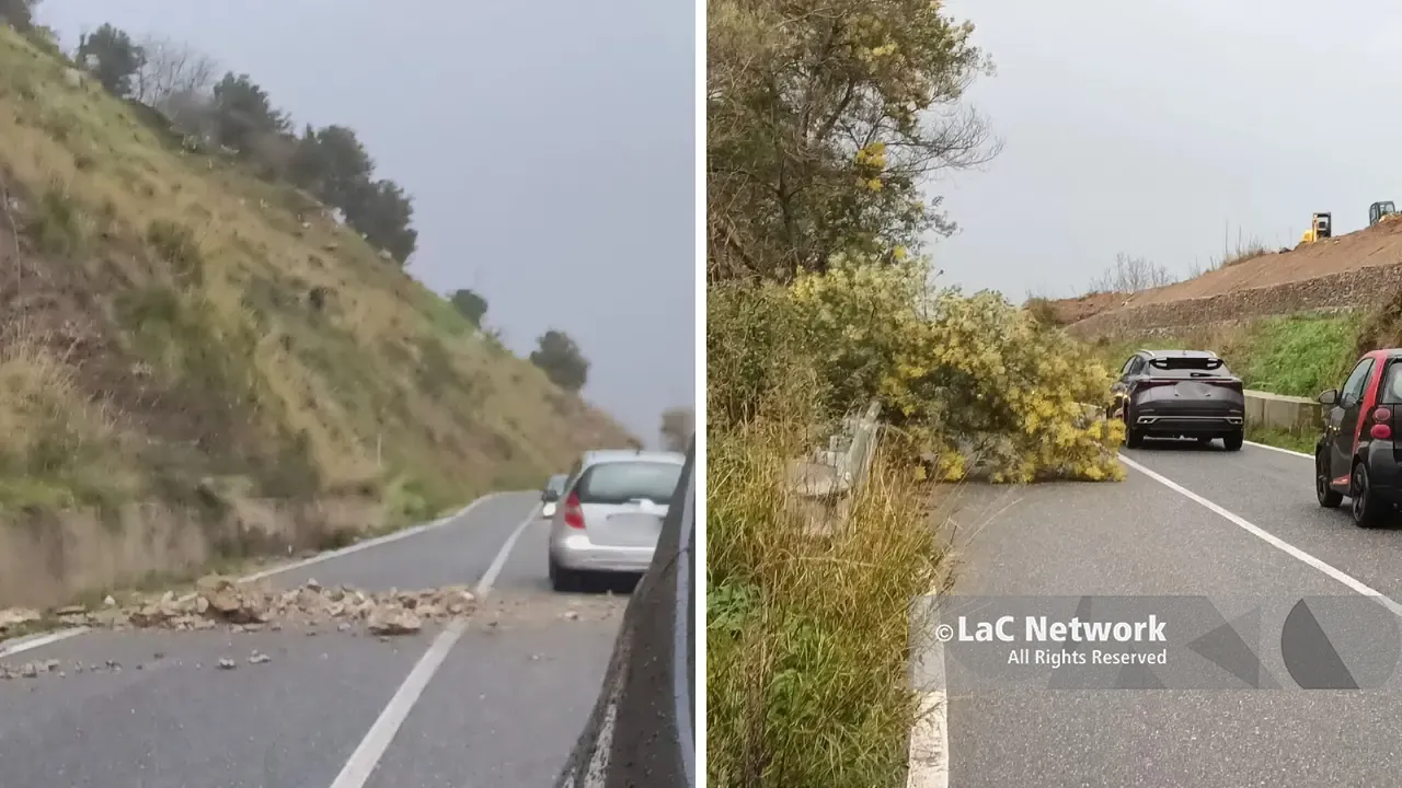 Smottamenti e un albero caduto tra Vibo e Stefanaconi: disposta la chiusura della provinciale 15\n