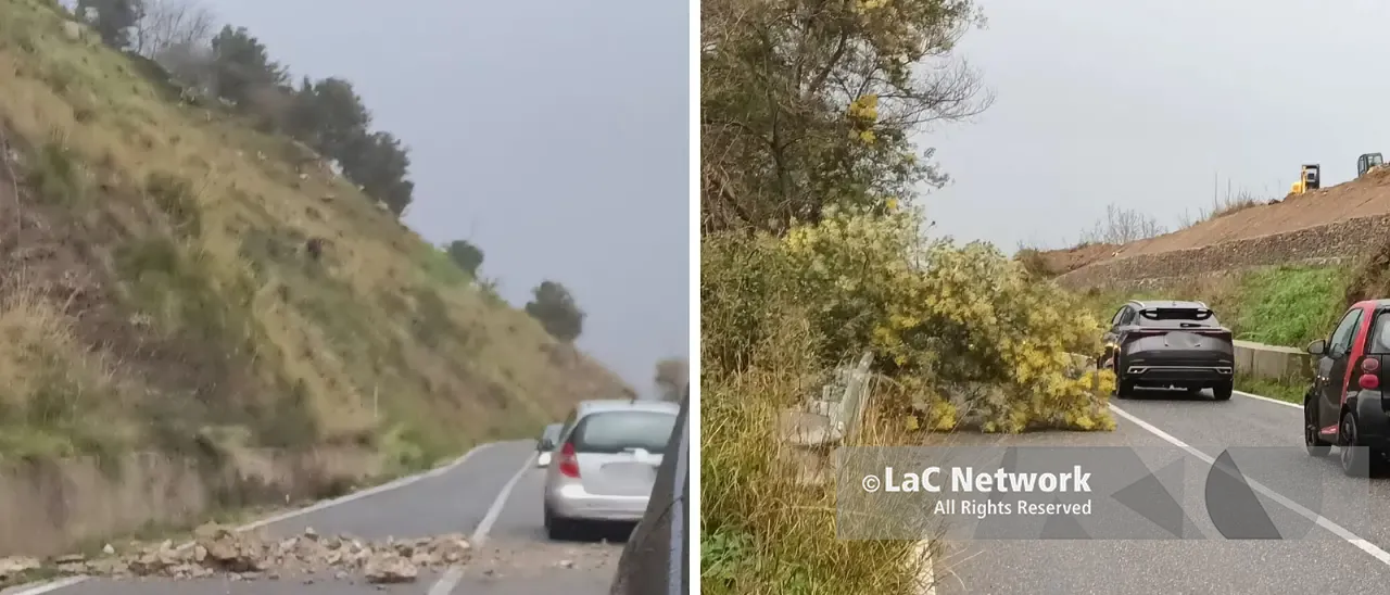 Smottamenti e un albero caduto tra Vibo e Stefanaconi: disposta la chiusura della provinciale 15\n