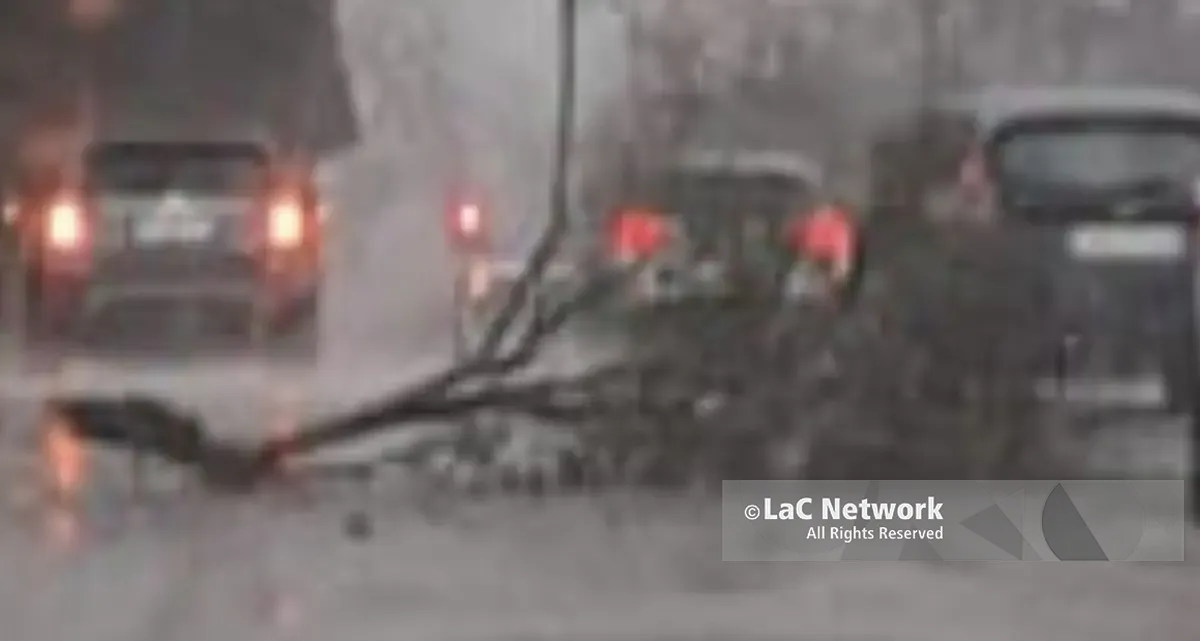 Ciclone Nils, albero cade su un’auto a Rende: paura in via Verdi\n