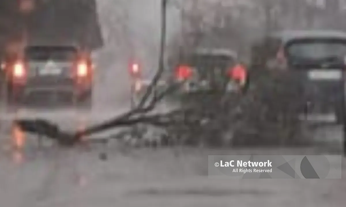 Ciclone Nils, albero cade su un’auto a Rende: paura in via Verdi\n