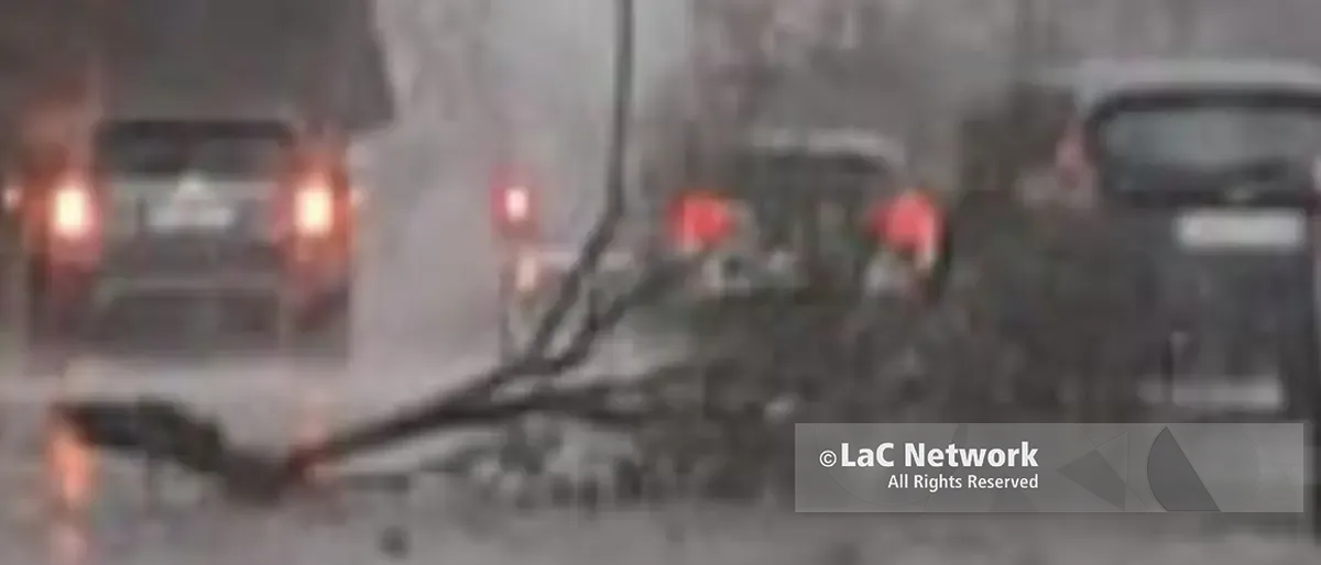 Ciclone Nils, albero cade su un’auto a Rende: paura in via Verdi\n