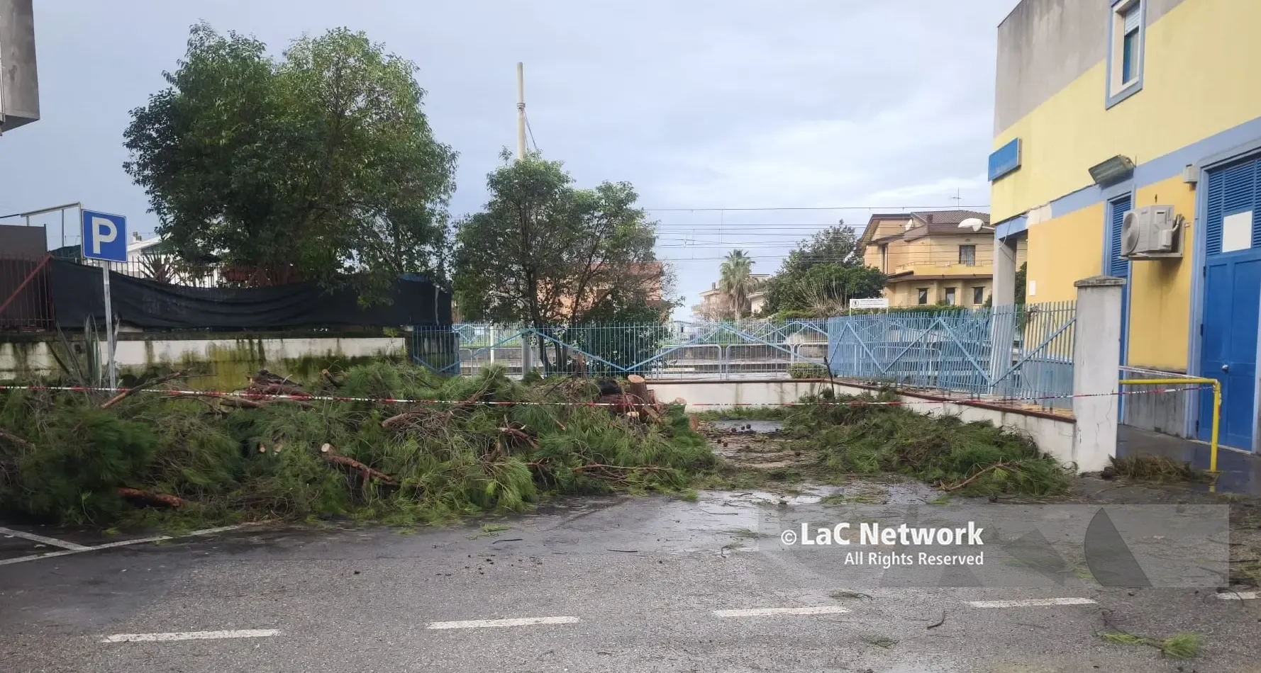 Santa Maria del Cedro, tragedia sfiorata:\u00A0albero crolla su un’auto parcheggiata\n
