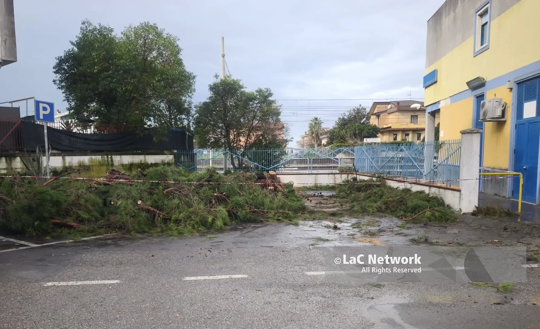 Santa Maria del Cedro, tragedia sfiorata:\u00A0albero crolla su un’auto parcheggiata\n