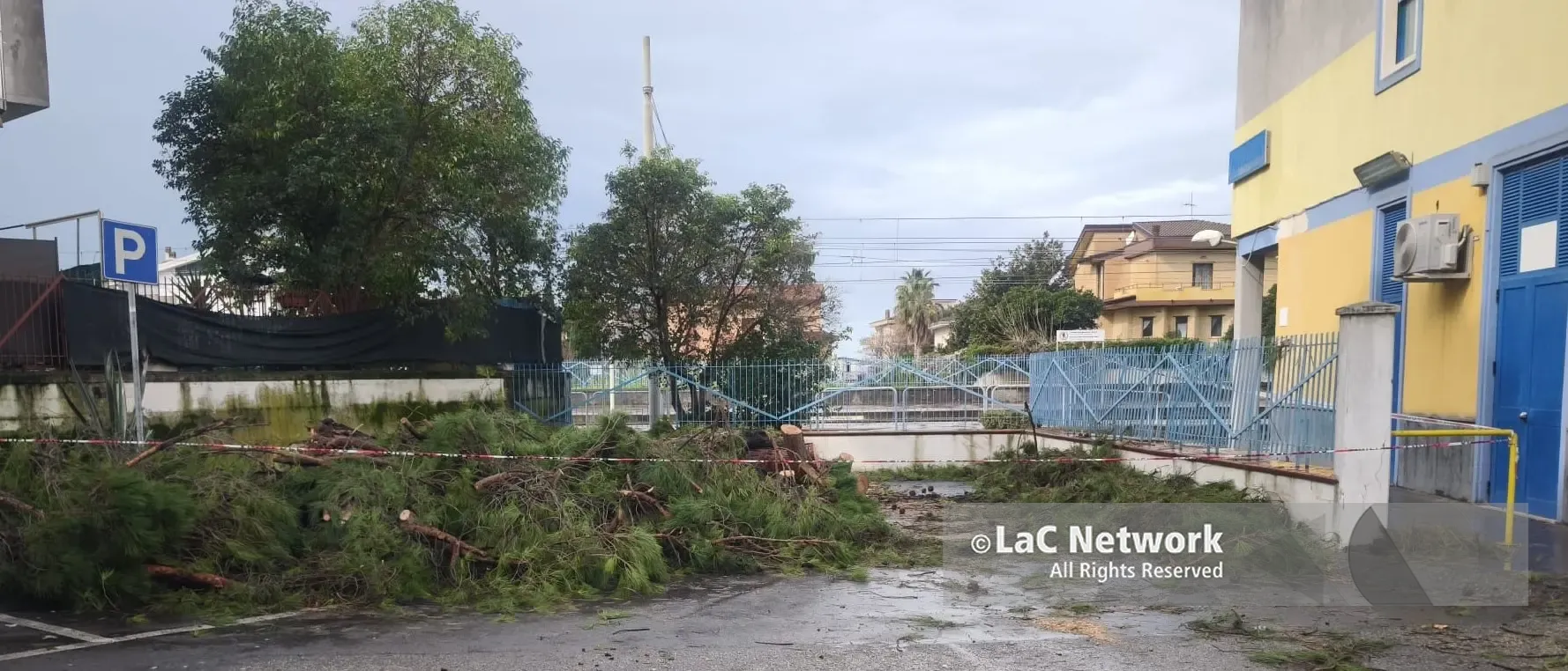 Santa Maria del Cedro, tragedia sfiorata:\u00A0albero crolla su un’auto parcheggiata\n