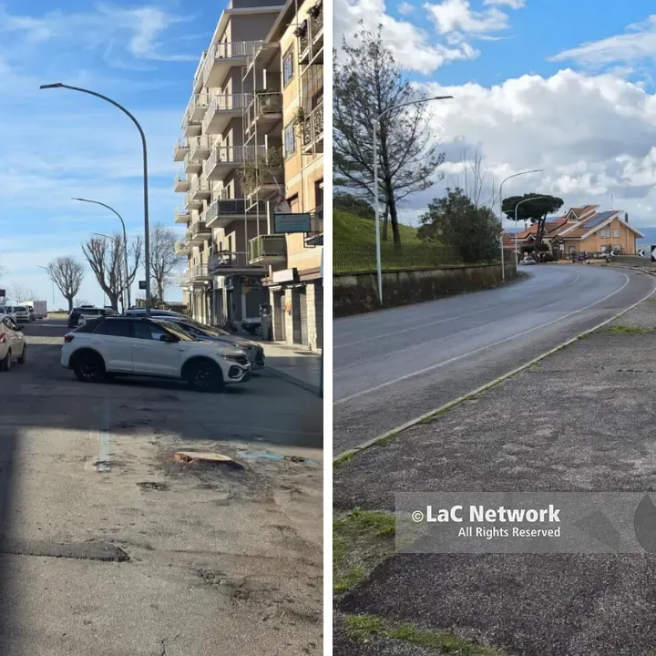 I viali alberati di Vibo non ci sono più: addio al verde storico tra interventi di sicurezza e polemiche\n