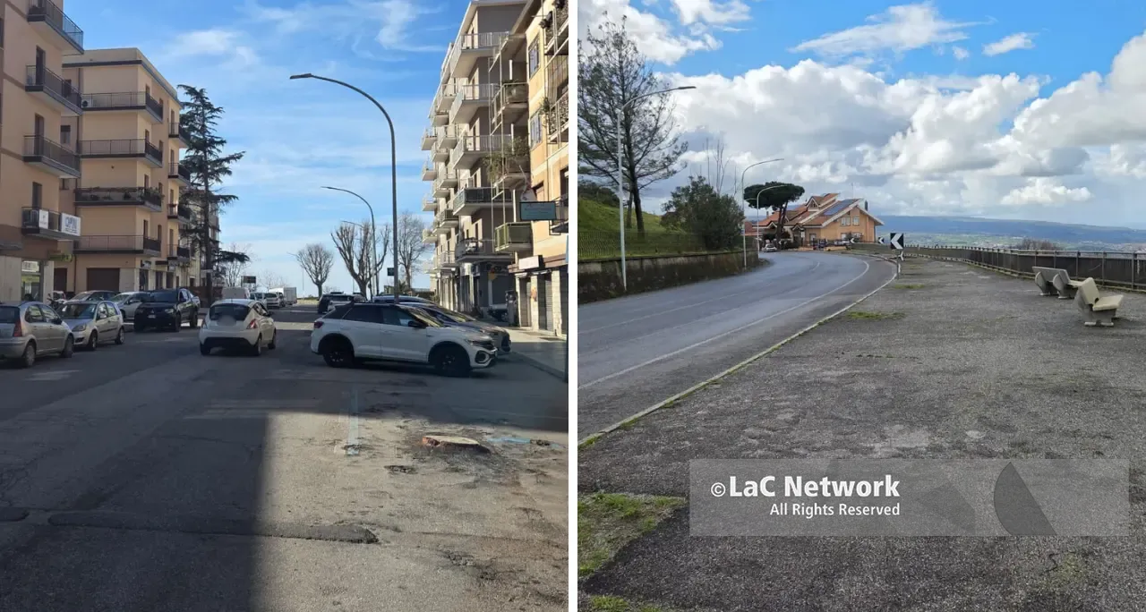 I viali alberati di Vibo non ci sono più: addio al verde storico tra interventi di sicurezza e polemiche\n