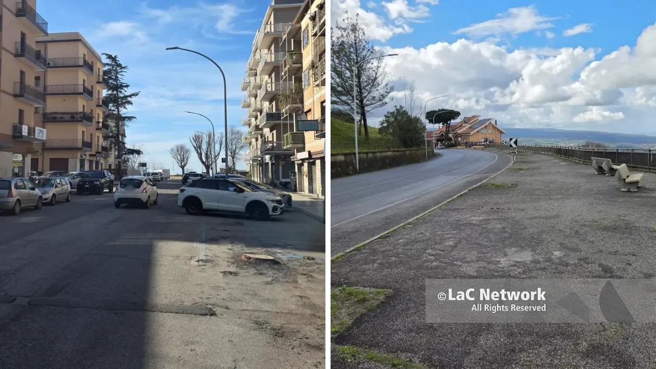 I viali alberati di Vibo non ci sono più: addio al verde storico tra interventi di sicurezza e polemiche\n