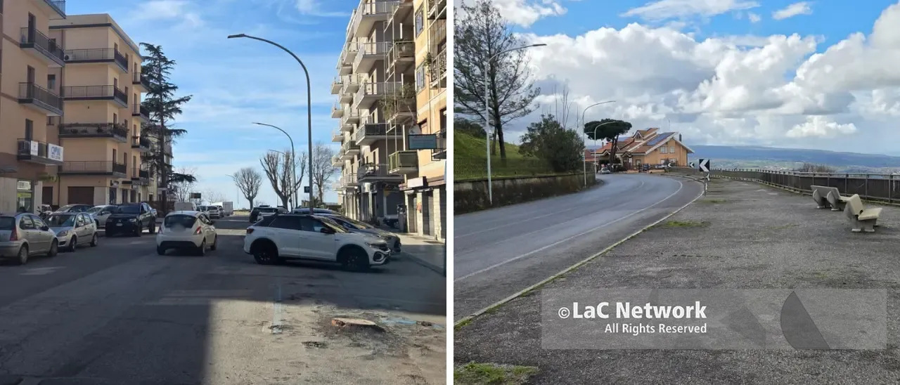 I viali alberati di Vibo non ci sono più: addio al verde storico tra interventi di sicurezza e polemiche\n