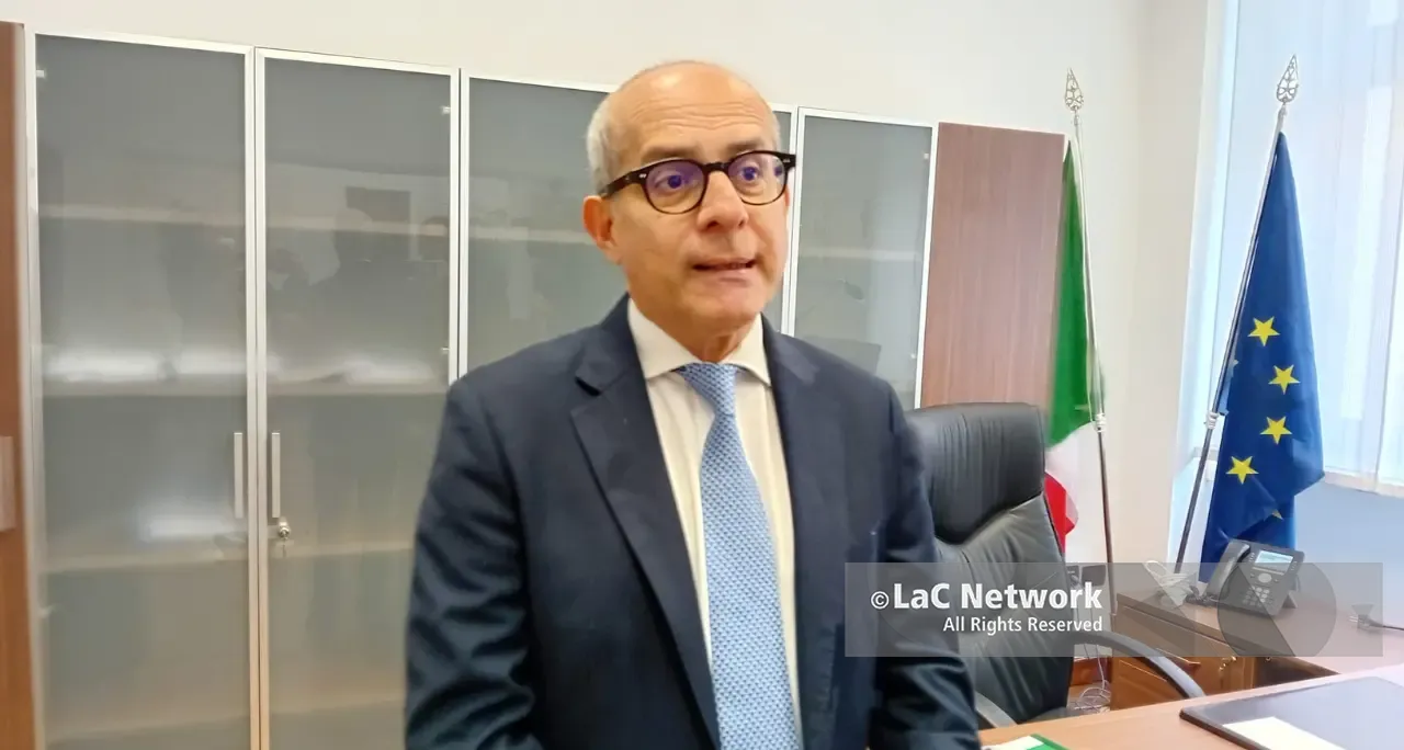 Indebita percezione di fondi pubblici, la Corte dei Conti: «Anomalo mezzo di sostentamento in Calabria»\n