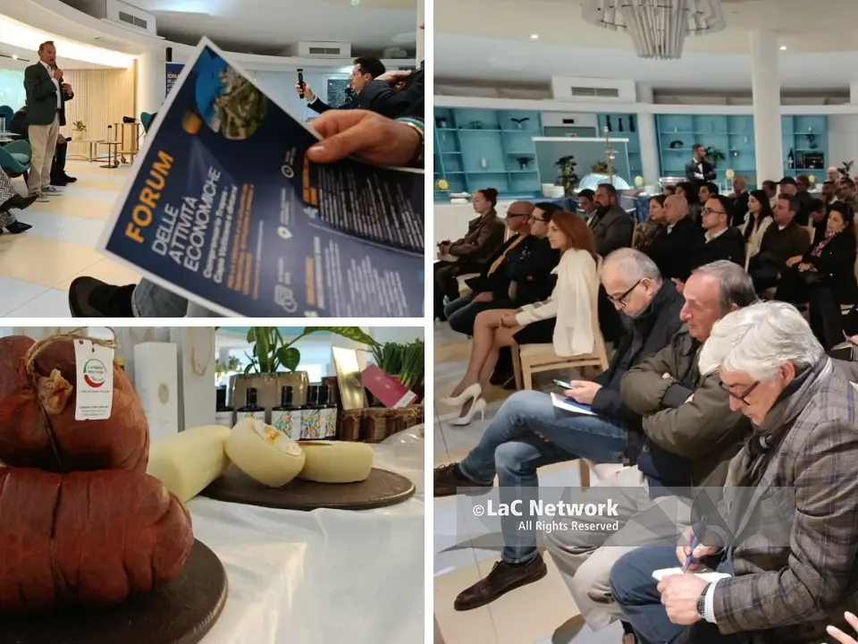 Turismo nel comprensorio di Tropea-Capo Vaticano, imprese e istituzioni a confronto: «Fare rete per allungare la stagione»