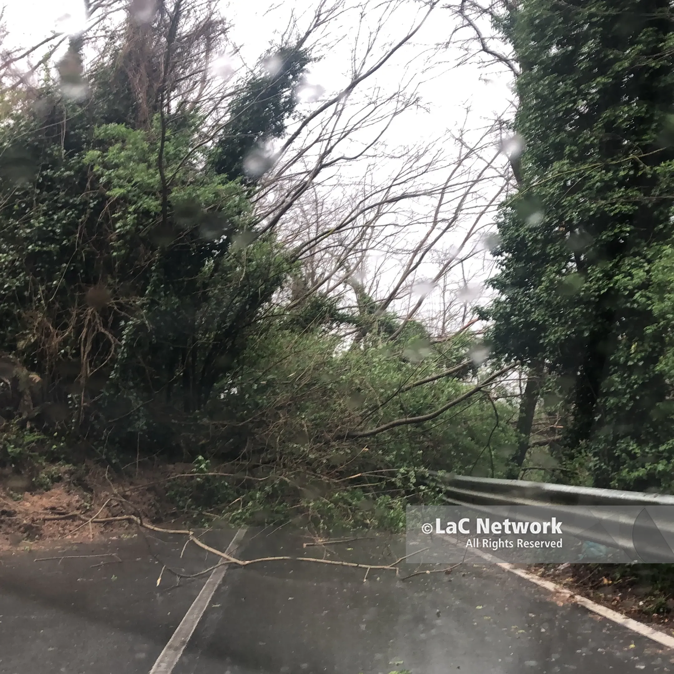 <p>Frane e allagamenti, chiusi tratti stradali nelle province di Cosenza e Vibo</p>