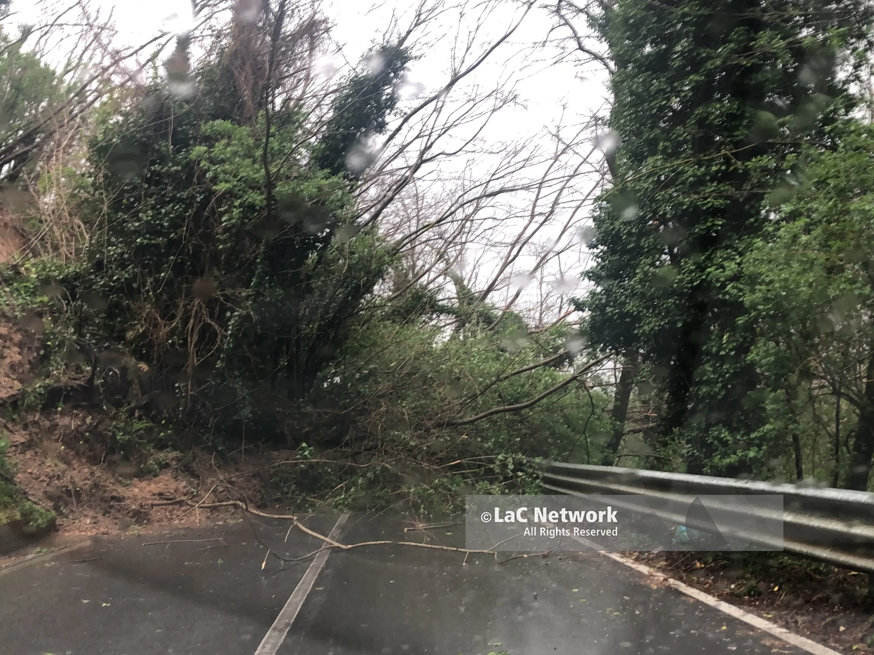Maltempo, viabilità in ginocchio nell’entroterra vibonese: diverse strade chiuse per frane e smottamenti – LIVE