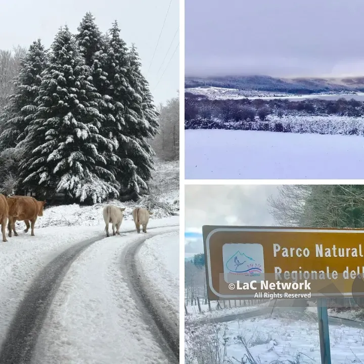 Torna la neve nel Vibonese, il ciclone Deborah imbianca le Serre: le previsioni\n