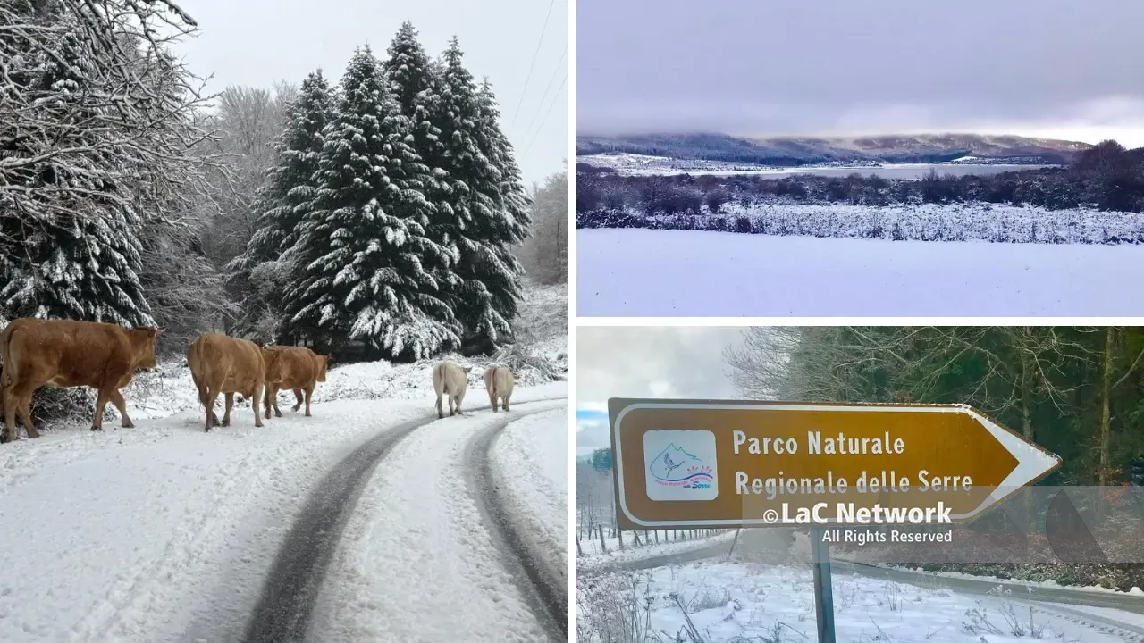 Torna la neve nel Vibonese, il ciclone Deborah imbianca le Serre: le previsioni\n