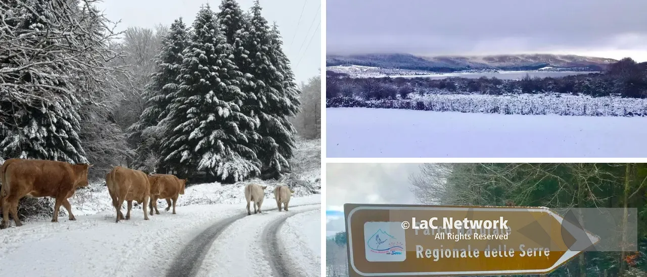 Torna la neve nel Vibonese, il ciclone Deborah imbianca le Serre: le previsioni\n