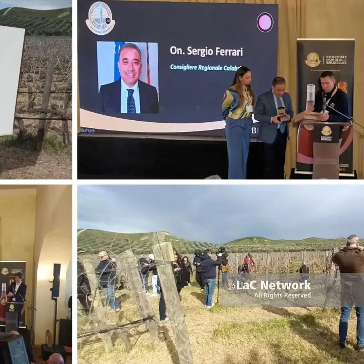Il Concours mondial de Bruxelles alla scoperta della biodiversità vitivinicola regionale. Svelata la sede del 2027\n