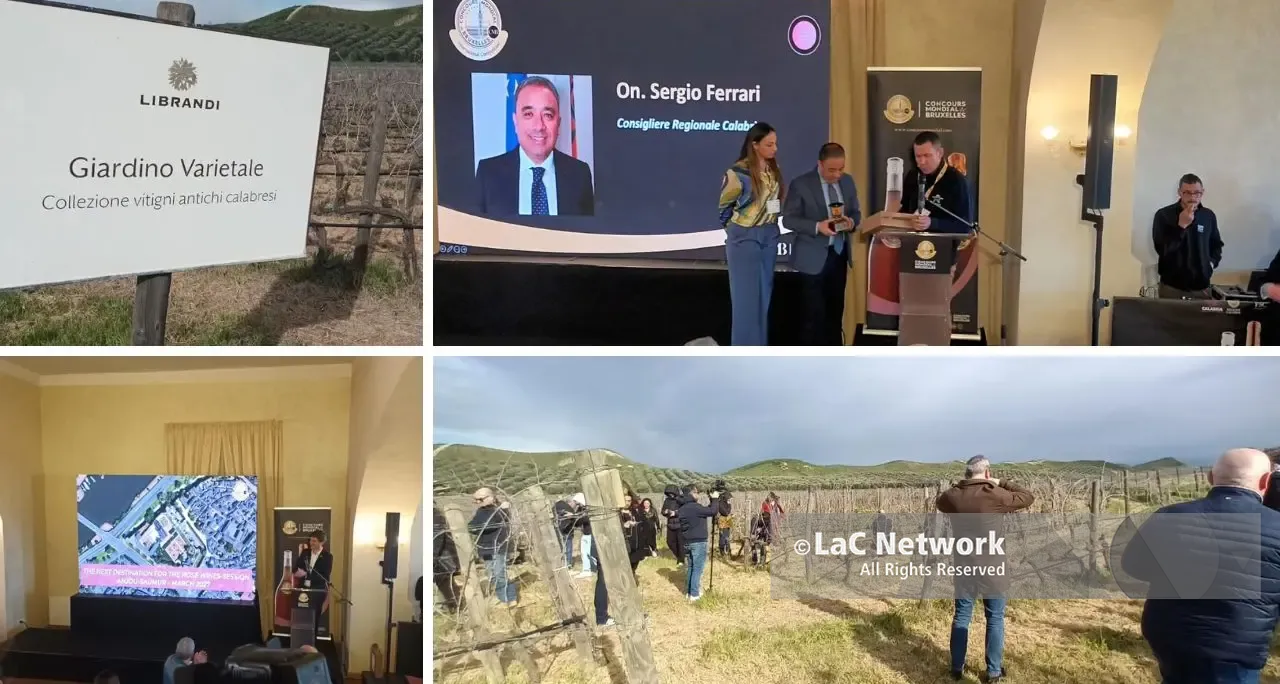 <p>Il Concours mondial de Bruxelles alla scoperta della <span style=\"color:hsl(0, 75%, 60%);\">biodiversità vitivinicola</span> regionale. Svelata la sede del 2027</p>