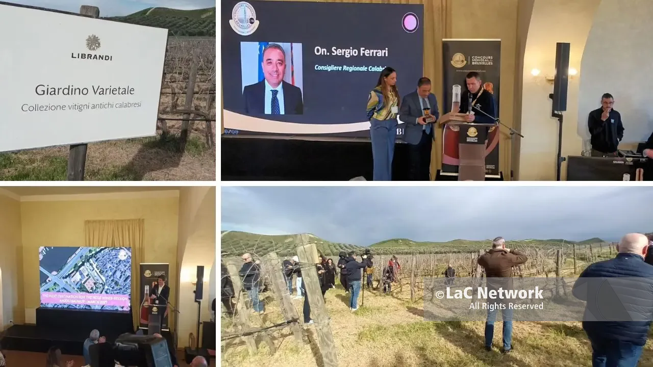 Il Concours mondial de Bruxelles alla scoperta della biodiversità vitivinicola regionale. Svelata la sede del 2027\n