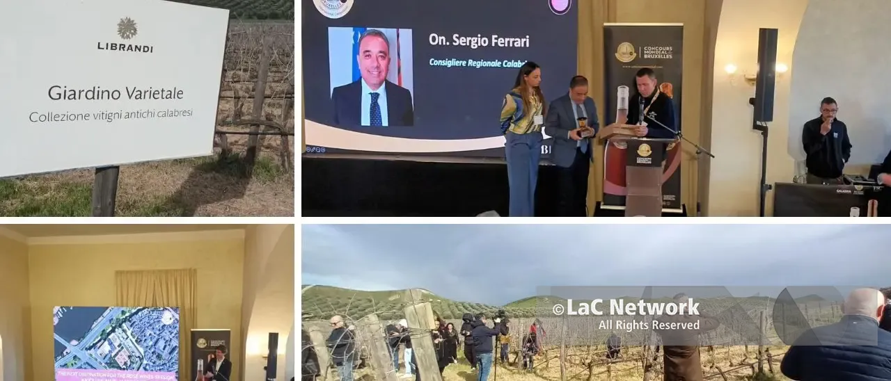 Il Concours mondial de Bruxelles alla scoperta della biodiversità vitivinicola regionale. Svelata la sede del 2027\n