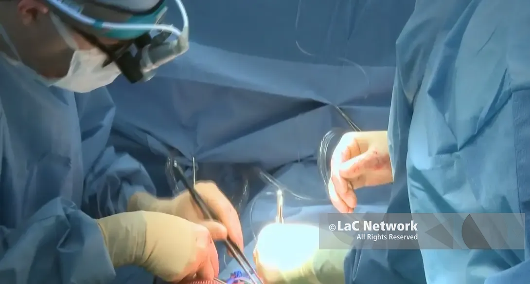 Donazione organi e trapianti, l’impegno di Aned per rafforzare la cultura del dono\n