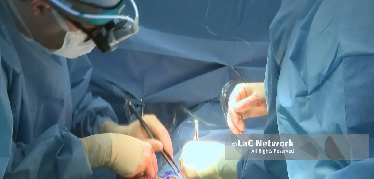 Donazione organi e trapianti, l’impegno di Aned per rafforzare la cultura del dono\n