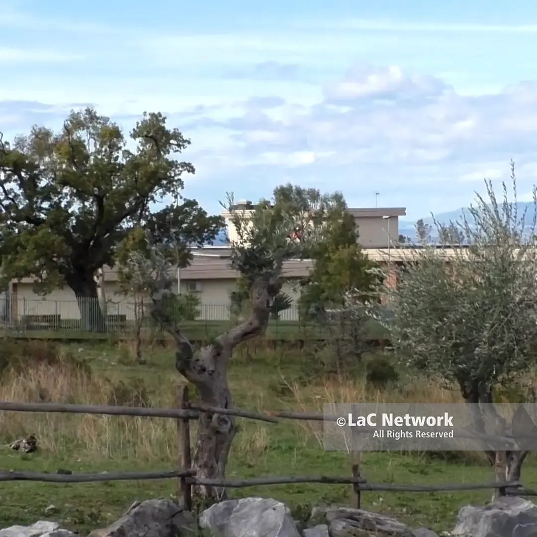 Posti di lavoro a rischio alla\u00A0Rsa San Francesco, dipendenti e amministratori si recano\u00A0in Prefettura\n