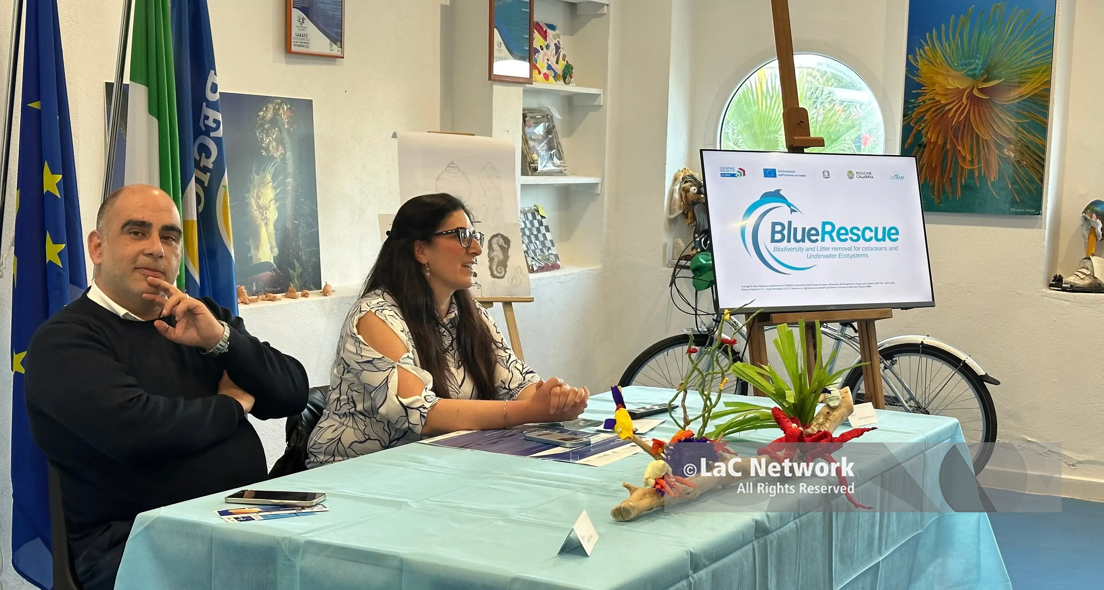 “Blue rescue”: ecco il progetto di tutela dei cetacei e pulizia dei mari