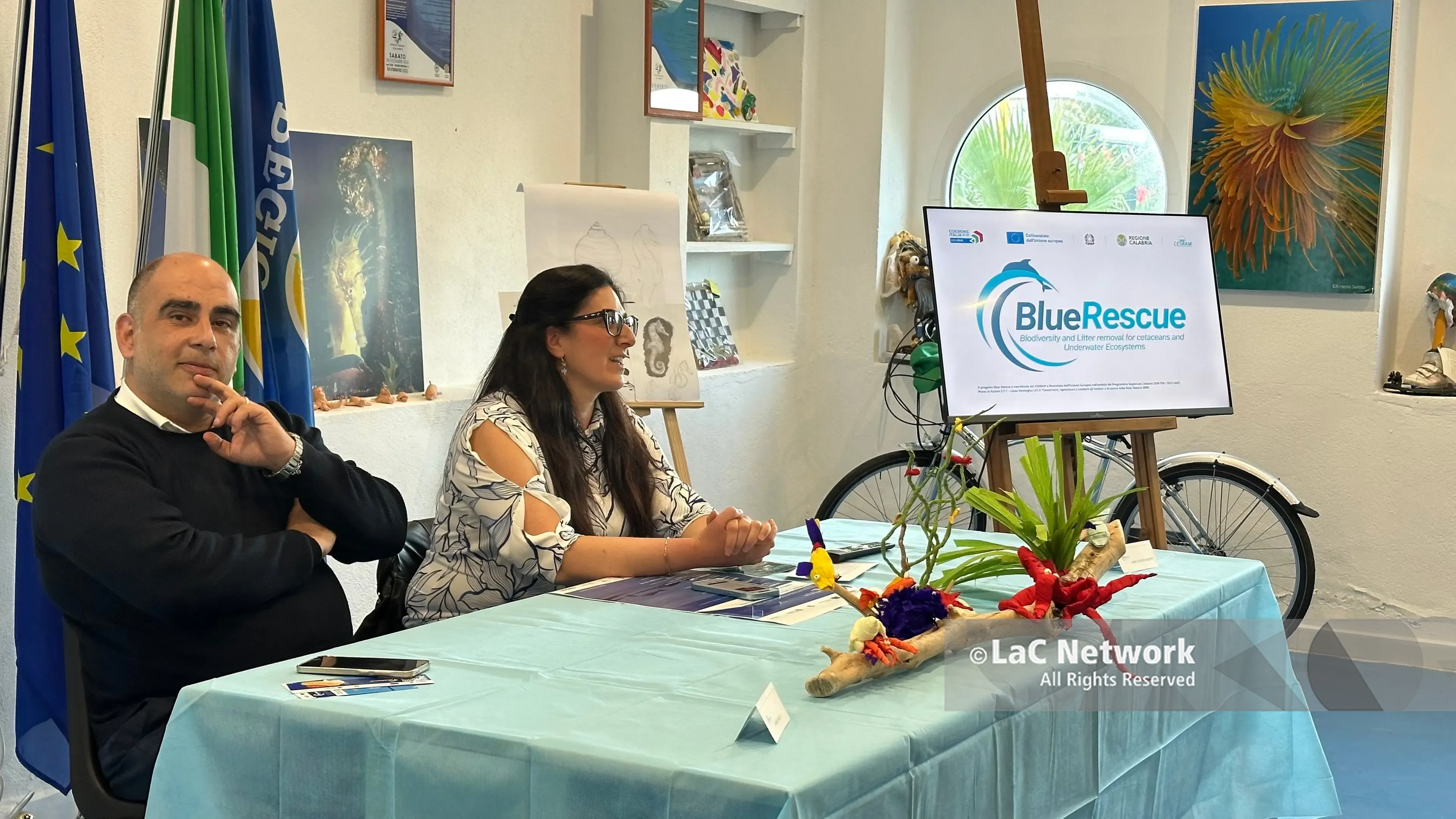 “Blue rescue”: ecco il progetto di tutela dei cetacei e pulizia dei mari