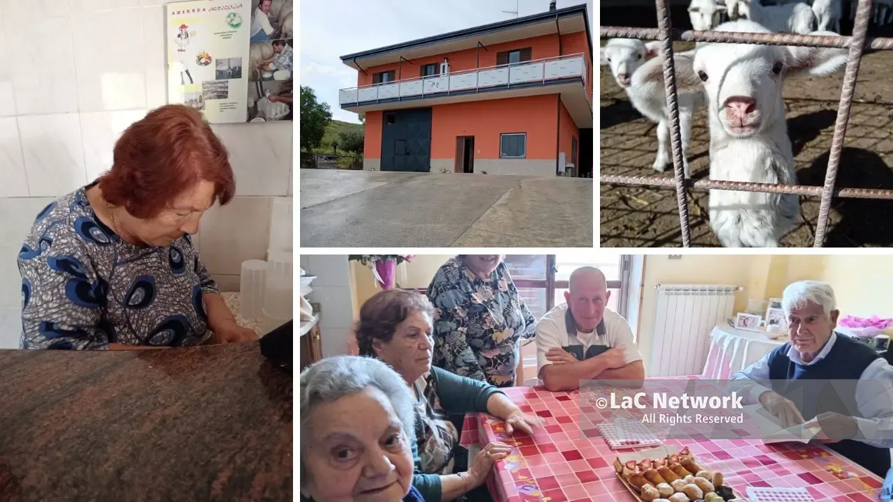 «Distruggeranno la nostra casa per la nuova 106, qui c’è la nostra vita»: il disperato appello di una famiglia catanzarese\n