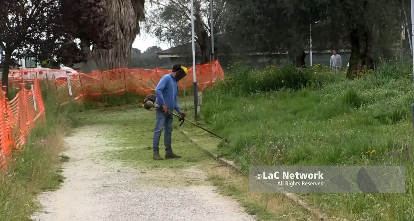 Parco urbano di Vibo, operai del Comune al lavoro dopo le polemiche sulla manutenzione dell’area verde\n