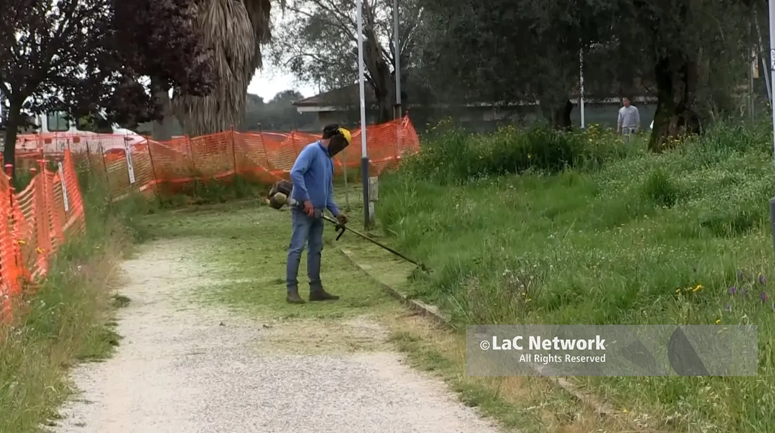 Parco urbano di Vibo, operai del Comune al lavoro dopo le polemiche sulla manutenzione dell’area verde\n