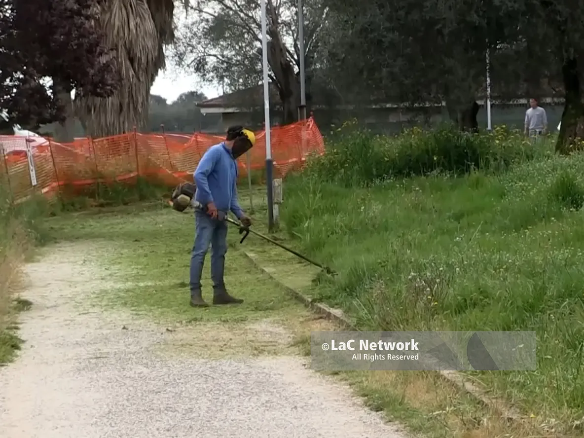 Parco urbano di Vibo, operai del Comune al lavoro dopo le polemiche sulla manutenzione dell’area verde