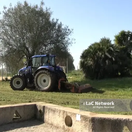 <p> «Tra qualche giorno sarà bellissimo», al Parco urbano di Vibo dopo le polemiche arrivano i trattori </p>