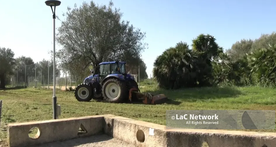 Al Parco urbano di Vibo arrivano i trattori, l’assessore Miceli: «Tra qualche giorno sarà bellissimo»\n