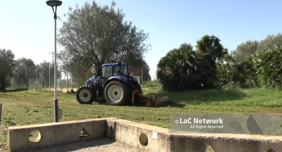 Al Parco urbano di Vibo arrivano i trattori, l’assessore Miceli: «Tra qualche giorno sarà bellissimo»\n