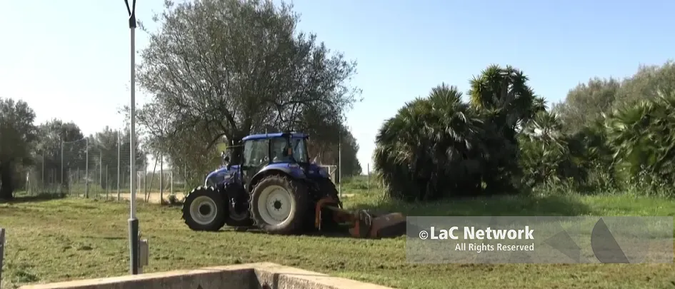 Al Parco urbano di Vibo arrivano i trattori, l’assessore Miceli: «Tra qualche giorno sarà bellissimo»\n
